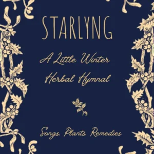 A Little Winter Herbal Hymnal - November 28th - The Black Box Belfast - 7.30-9.45pm