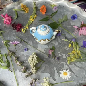 Create your own botanical tea garden and herbal tea blend - Wednesday June 17th 6.30-9pm