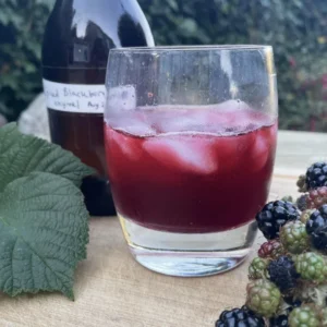 Forage walk and sweet wild blackberry oxymel making - Wednesday 26 August 6.30-9pm
