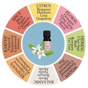 An introduction to Botanical Perfumery - Saturday 1 August 6.30-9pm