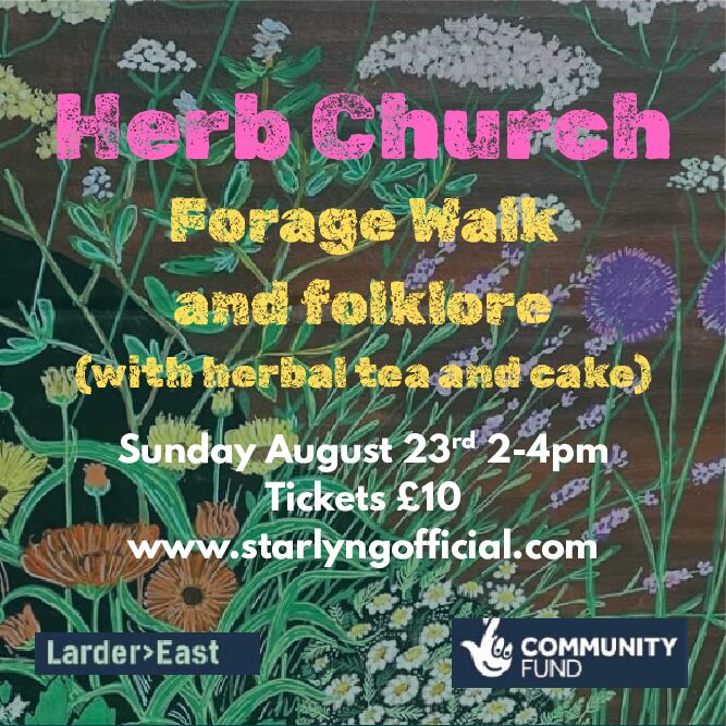 Herb Church Forage Walk, East Belfast, Sunday 23 August 2-4pm
